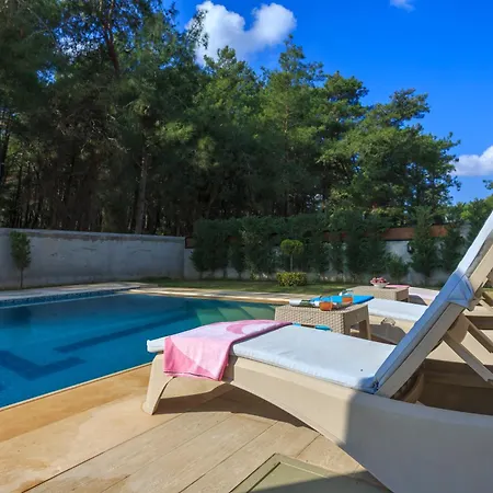 Hisar Celebrity A 페티예